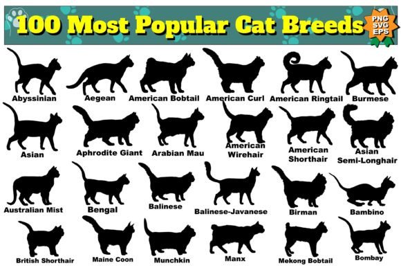 101 Cat Silhouette Cat Breeds SVG Review